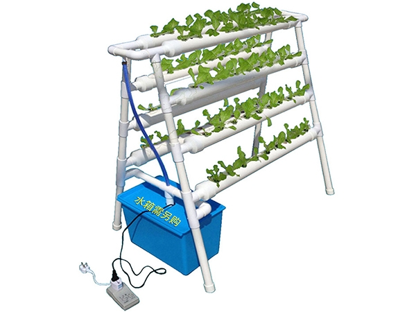 無土栽培種菜機-雙面梯